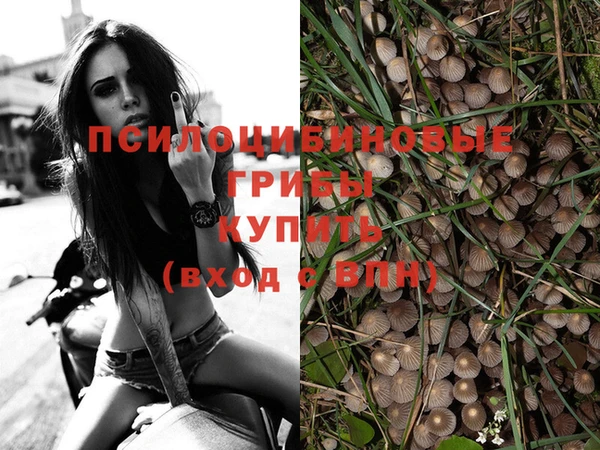 mdpv Балахна